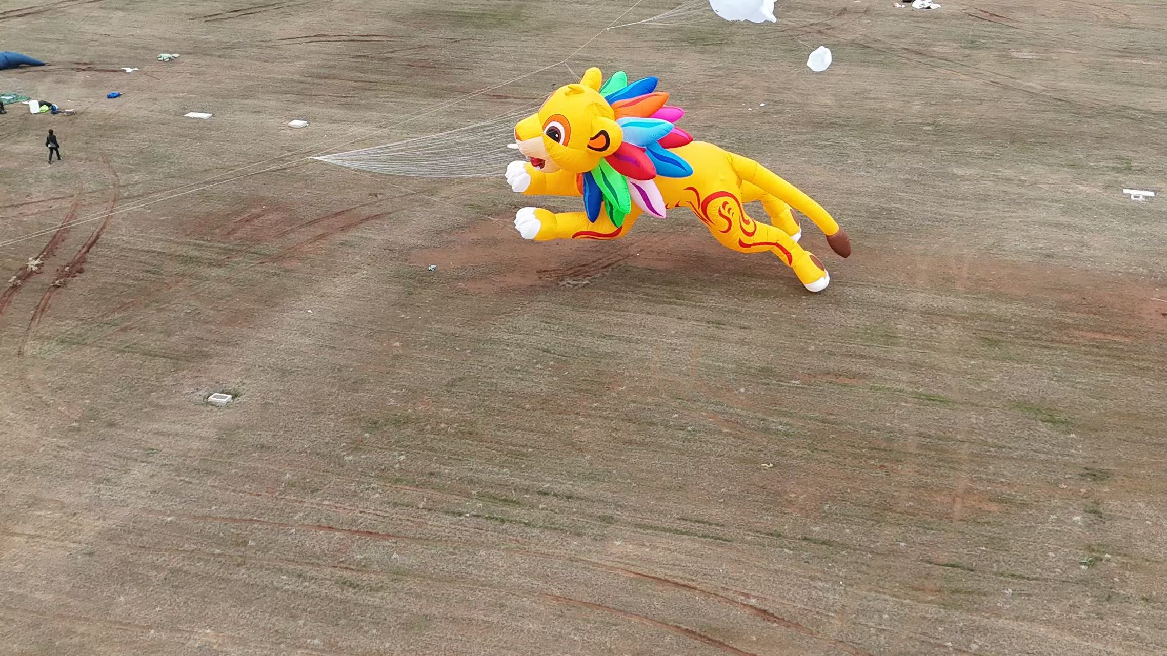 金华市品牌风筝定制风筝批发 - 方案